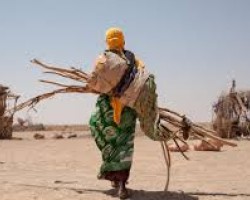 Somalie : la sécheresse accentue le déplacement des populations