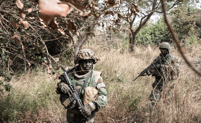 Sénégal : l’armée aux trousses des rebelles du MFDC
