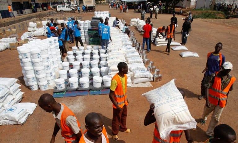 Aide humanitaire au Niger : le Togo soutient l’initiative des Nations Unies