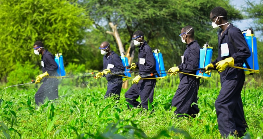 Éclosion d’innovation agricole au Togo : Un projet ambitieux redéfinit la gestion des pesticide