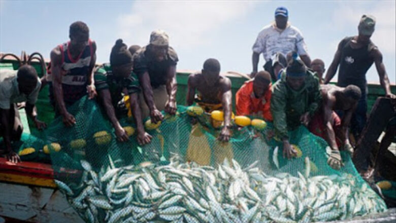 la pêche et l’aquaculture au cœur du budget 2024