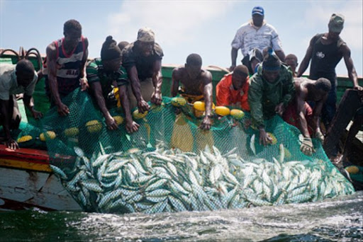 la pêche et l’aquaculture au cœur du budget 2024