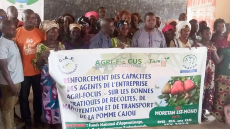 La formation des producteurs de pomme de cajou : un appui d’Agri-Focus