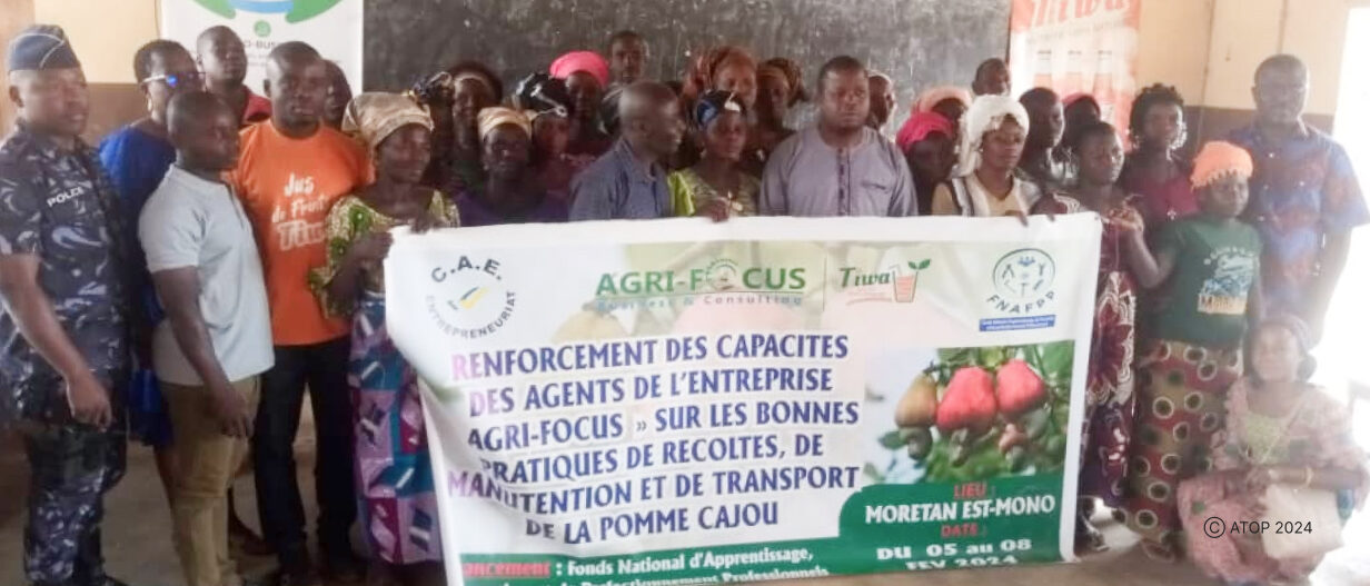 La formation des producteurs de pomme de cajou