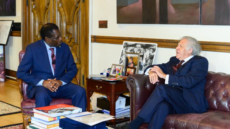 Coopération entre le Togo et l'OEA, notamment dans les secteurs économiques clés du Togo : l'agriculture, les mines et le commerce régional.