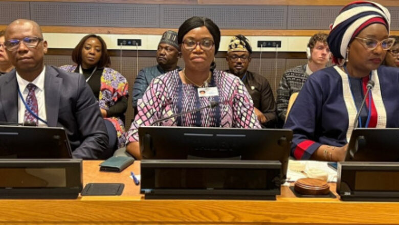 La délégation togolaise a mis en lumière les initiatives gouvernementales visant renforcer la résilience socio-économique des femmes