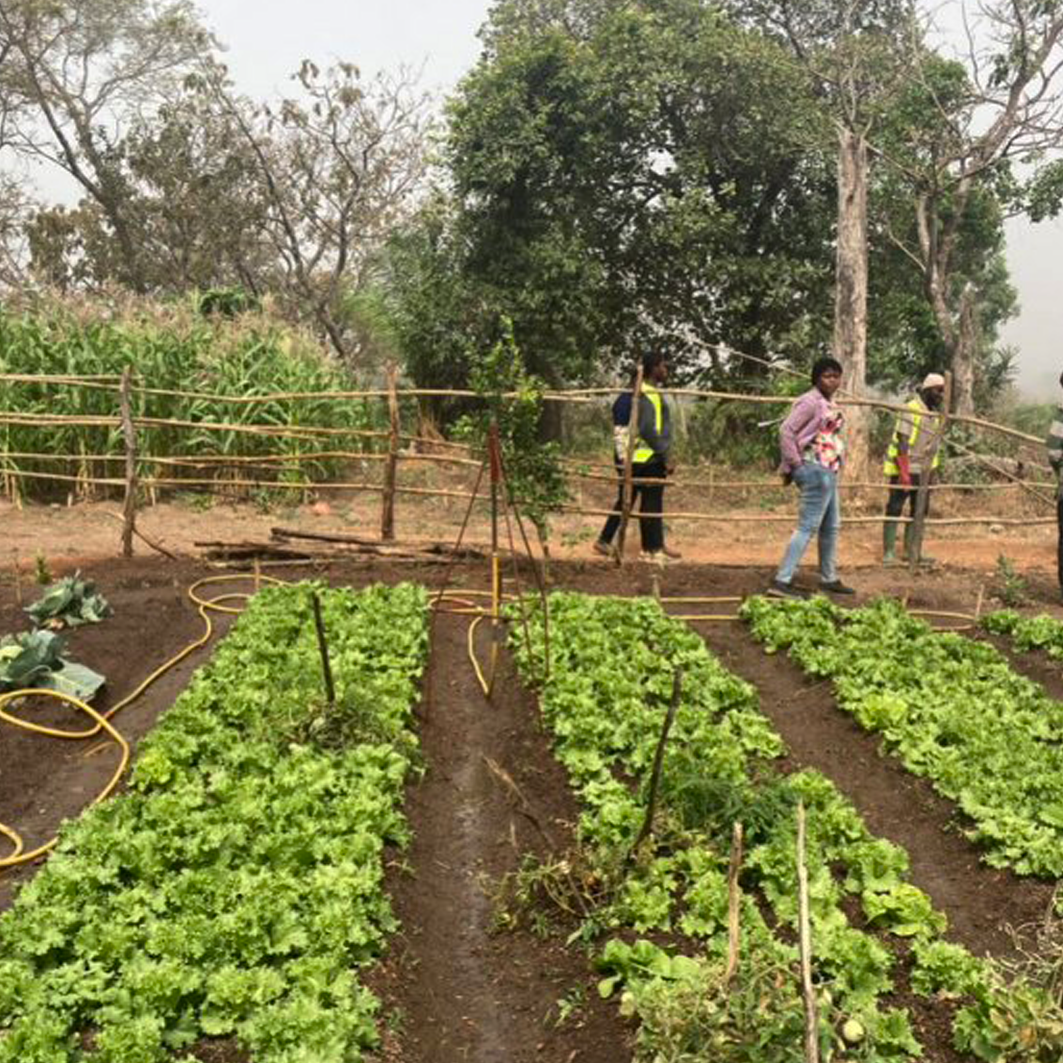 Sun4Water vise à diffuser les SPIS et à renforcer les capacités des acteurs locaux impliqués dans le secteur de l’irrigation à énergie solaire