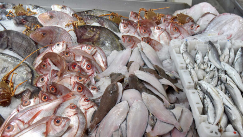 Le Togo, face à une demande croissante en produits halieutiques, a élaboré un plan d’investissement quinquennal pour dynamiser sa filière poisson.