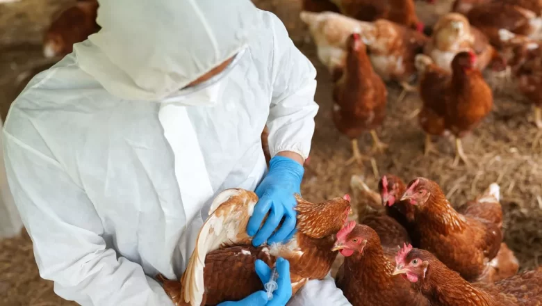 Des experts en santé de plusieurs pays africains se sont réunis à Lomé le mercredi 17 avril 2024 pour élaborer des protocoles d'enquête