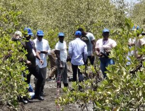 Visite de la Commissaire de la CEDEAO à Mansakonko, soulignant les efforts de restauration des mangroves et le développement durable en Afrique de l'Ouest.