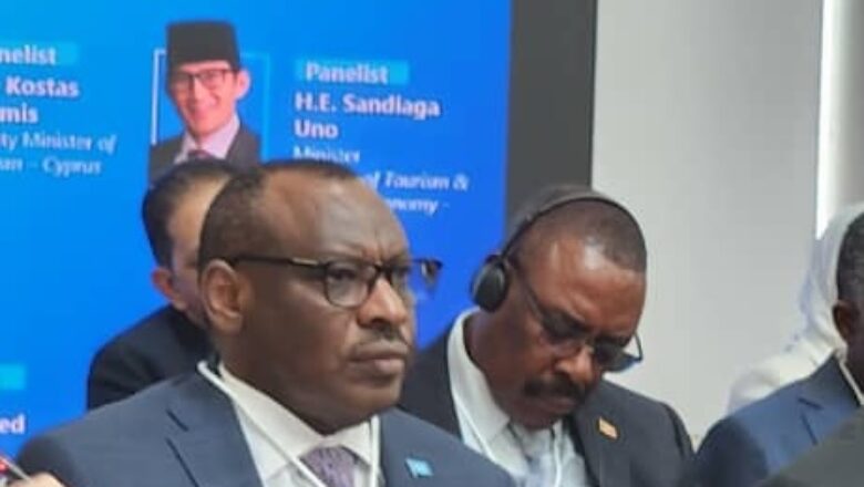 Potentiel illimité de l'Afrique pour les investissements à long terme dans des secteurs clés comme les minéraux, l'agriculture et l'énergie,