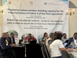 Une conférence internationale à Victoria Falls sur  la régulation des marchés du carbone et de la mise en œuvre de l'article 6