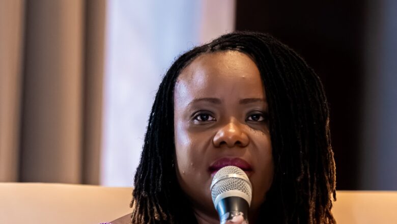 L'initiative PADC au Niger, visant à stimuler le développement communautaire en s'inspirant des succès régionaux