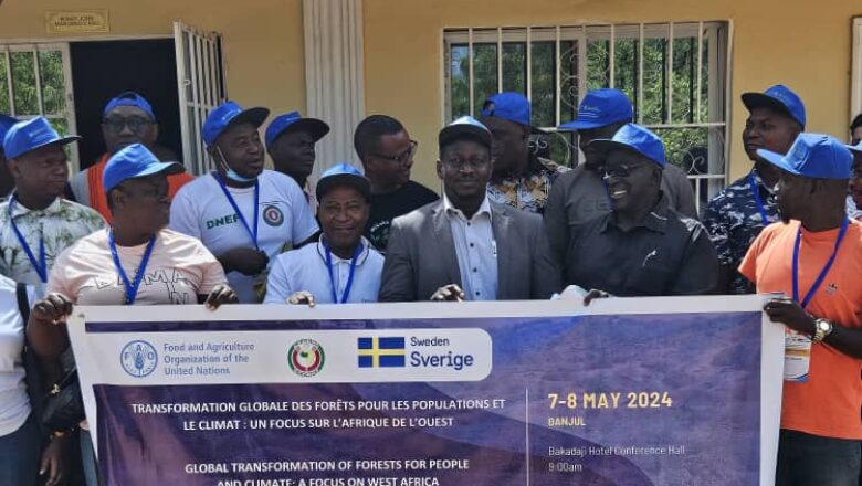 Visite de la Commissaire de la CEDEAO à Mansakonko, soulignant les efforts de restauration des mangroves et le développement durable en Afrique de l'Ouest.