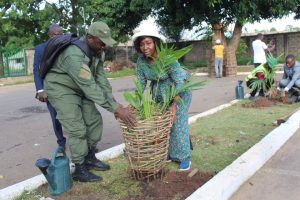 Dans le cadre de la campagne nationale de reboisement, Mme Kayi MIVEDOR-SAMBIANI et le ministère du Commerce ont planté des arbres à Lomé.