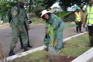 Dans le cadre de la campagne nationale de reboisement, Mme Kayi MIVEDOR-SAMBIANI et le ministère du Commerce ont planté des arbres à Lomé.