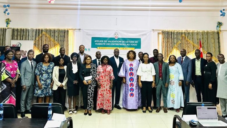 Le Togo lance une étude approfondie sur la viabilité des entreprises, identifiant les défis et les solutions