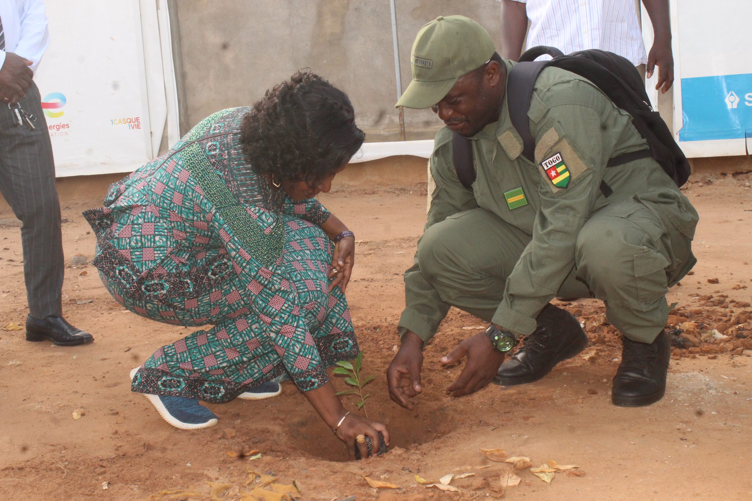 Dans le cadre de la campagne nationale de reboisement, Mme Kayi MIVEDOR-SAMBIANI et le ministère du Commerce ont planté des arbres à Lomé.