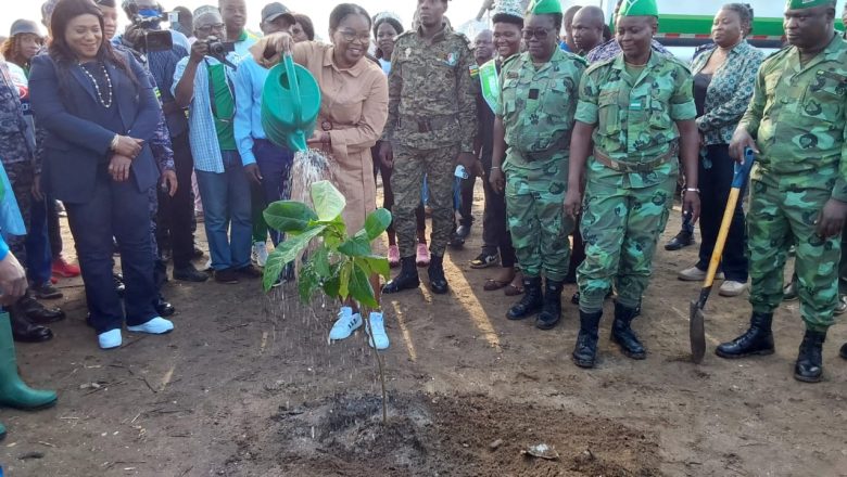 Le Togo lance une ambitieuse campagne nationale de reboisement visant à planter 100 millions d'arbres d'ici 2030