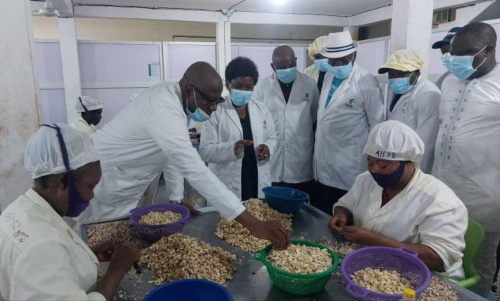 L'usine "Cajou du centre" au Togo incarne l'innovation et le développement durable dans l'industrie de l'anacarde,