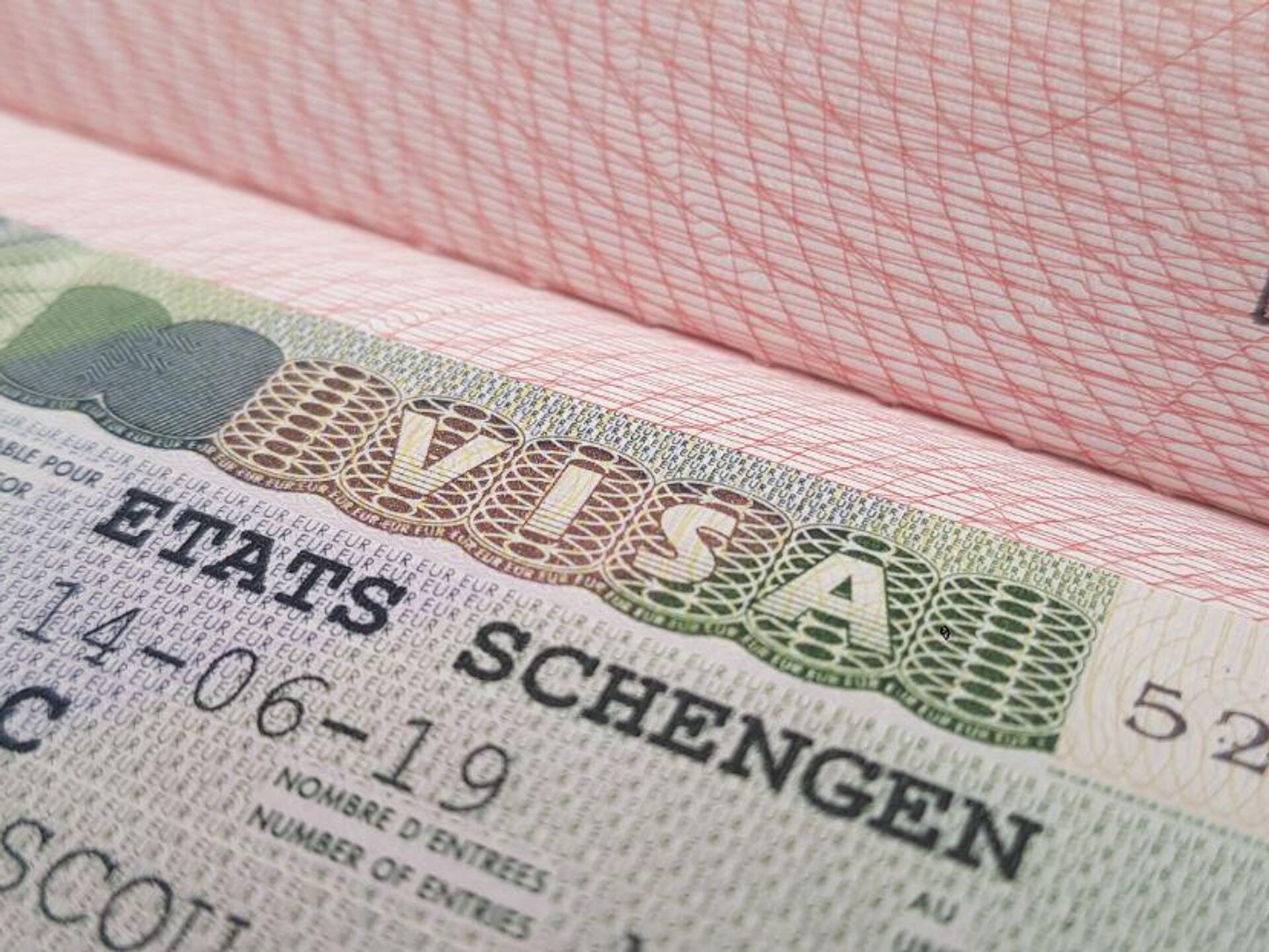 Lancement de Databiz et facilitation des visas Schengen : le Togo déploie des outils innovants pour stimuler la compétitivité des entreprises