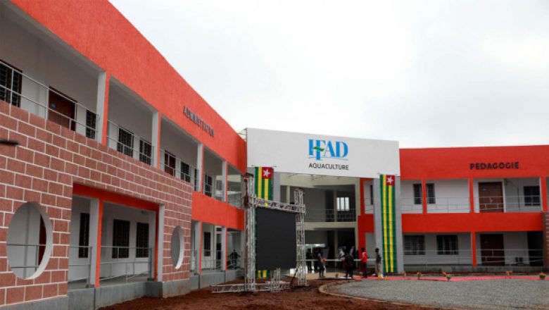 IFAD Togo : tremplin vers l'employabilité et le développement des jeunes à travers une formation professionnalisante et accessible.