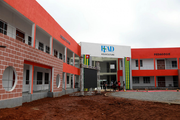 IFAD Togo : tremplin vers l'employabilité et le développement des jeunes à travers une formation professionnalisante et accessible.