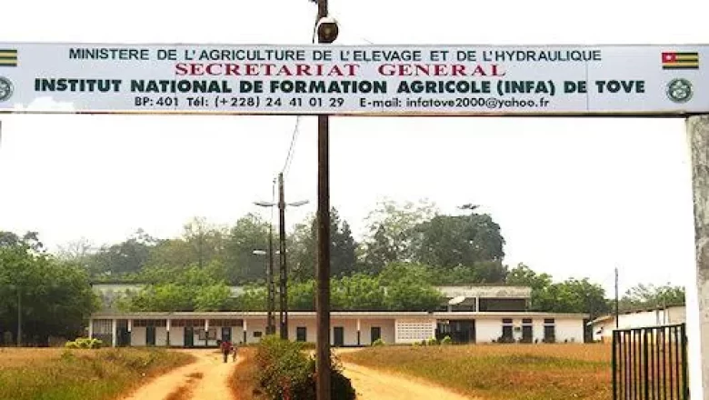 Le gouvernement togolais lance un appel aux jeunes pour rejoindre l'INFA de Tové pour une formation agricole.