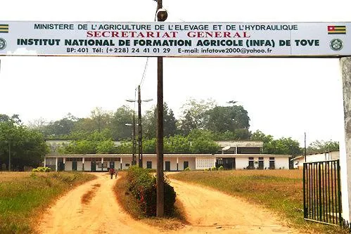 Le gouvernement togolais lance un appel aux jeunes pour rejoindre l'INFA de Tové pour une formation agricole.