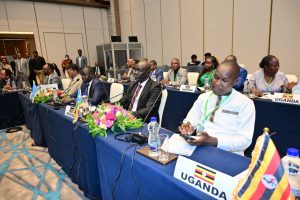 Le tourisme durable, un levier pour préserver l'environnement et améliorer les conditions de vie des populations africaines.