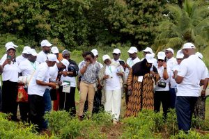 le Technoparc de Davié redéfinit l'agriculture au Togo, en alliant recherche scientifique et productivité agricole pour un avenir durable.