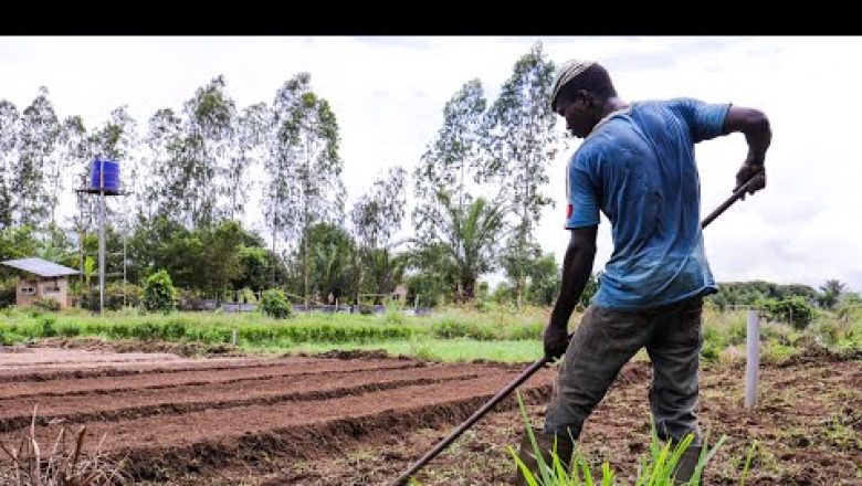 Le Togo accueille le Marché des Innovations et Technologies Agricoles pour booster la production agricole et lutter contre les ravageurs.