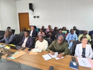 Le secteur de la santé togolais fait le point sur ses avancées et ses défis lors d'une réunion de coordination