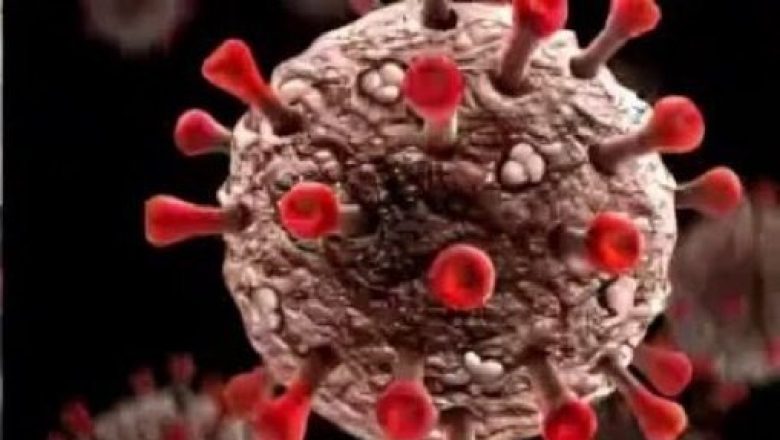 Face à l'émergence du métapneumovirus humain (hMPV), les autorités et les populations mondiales se mobilisent pour prévenir une nouvelle crise