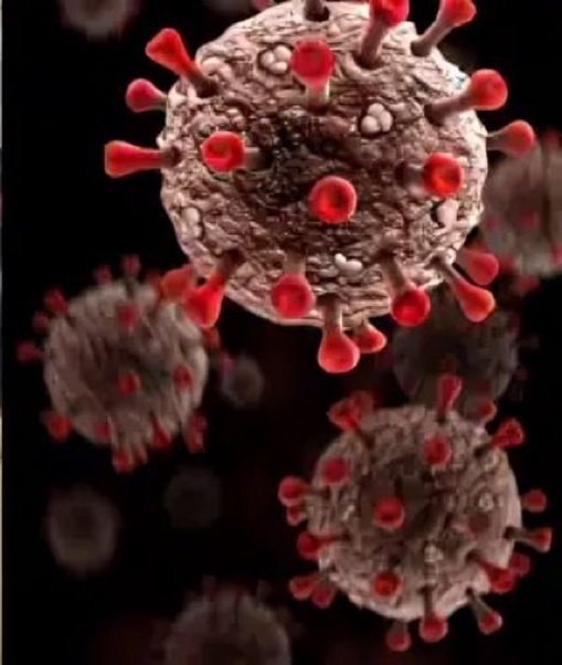 Face à l'émergence du métapneumovirus humain (hMPV), les autorités et les populations mondiales se mobilisent pour prévenir une nouvelle crise