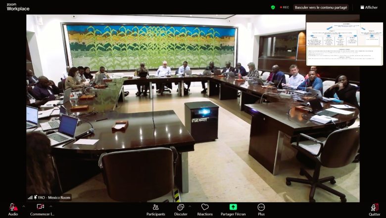 Le Togo intensifie ses efforts pour restaurer 1,4 million d'hectares de terres dégradées d'ici 2030 grâce au programme AFR100,