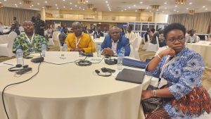 À Lomé, du 25 au 27 février 2025, l’OMS réunit experts et décideurs pour renforcer la Chimioprévention Saisonnière du Paludisme,