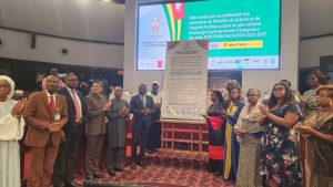Une table ronde à Lomé mobilise les partenaires pour intégrer soins PFPP, SRMNI et nutrition, visant un système de santé togolais 