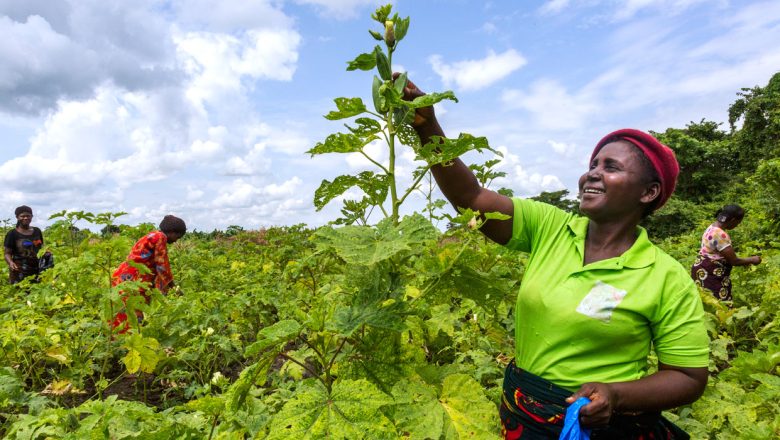 Le Forum Régional de la Société Civile sur l'éducation des filles et l'autonomisation féminine se déroule à Lomé,
