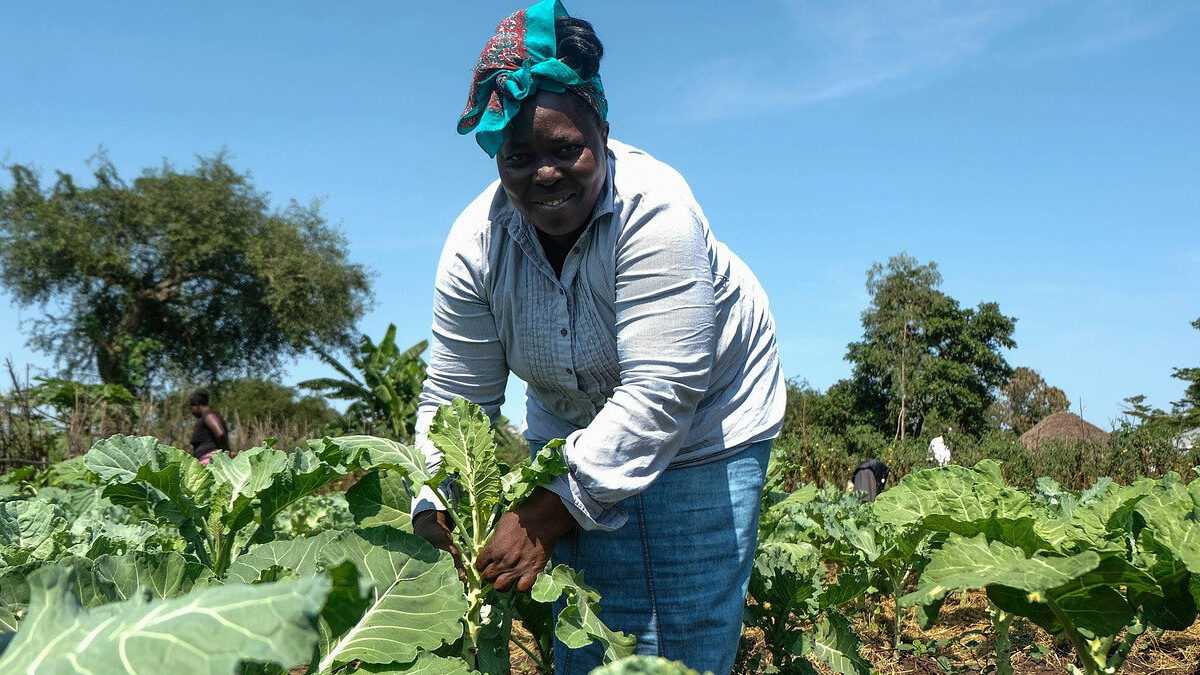 Le Togo prépare activement la deuxième édition du FoPAT pour accélérer la modernisation de son agriculture et améliorer les conditions de vie