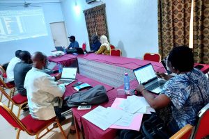 La digitalisation via DHIS2, soutenue par l’OMS, révolutionne la surveillance des décès maternels et néonatals au Togo pour sauver des vies 