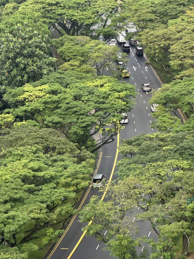 Lomé et Singapour : le Ministre Robert Dussey accueilli à bras ouverts