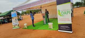 L’OAPI remet au riz de Kovié du Togo son certificat d’Indication Géographique Protégée, première distinction de ce genre pour le pays,