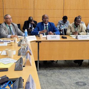 À Paris, les 15 et 16 avril 2025, Abdoulaye Diop, Président de la Commission de l’UEMOA, et Mahamadou Gado, au sein du RPCA,