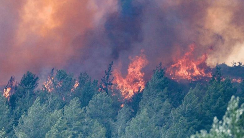 De gigantesques incendies de forêt ont ravagé les environs de Jérusalem, entraînant des évacuations massives et un état d'urgence face