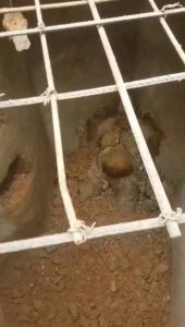 Le multimillionnaire nigérian Obi Levi Obieze, surnommé "Ezeani", a été arrêté à la frontière pour enlèvements et meurtres rituels de femmes enceintes, provoquant la fureur publique et une enquête nationale.