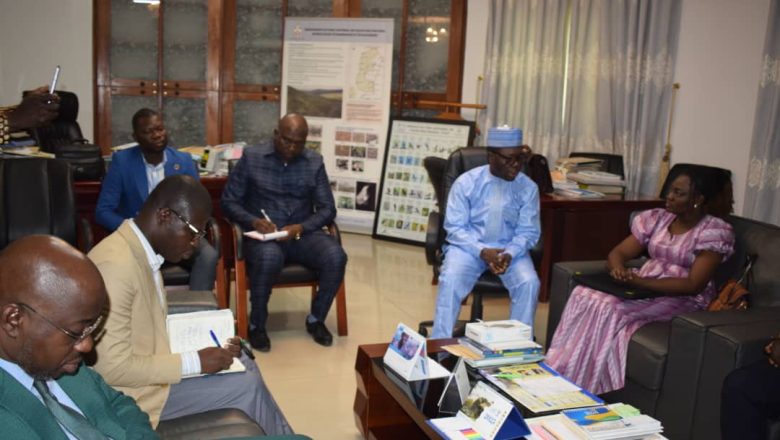 Le Togo organise sa 4ᵉ Journée Nationale des Tortues Marines le 14 juin 2025 avec un gala de football inédit et des actions