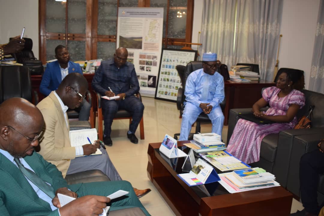 Togo : les tortues marines à l’honneur d’une journée nationale d’envergure