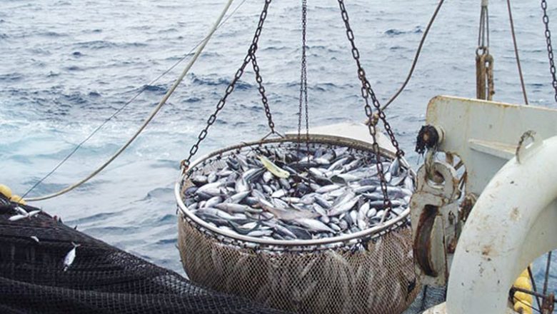 Le Togo décrète une suspension audacieuse de la pêche pour deux mois afin de revitaliser ses écosystèmes marins, un pari sur la durabilité et un modèle pour l'Afrique de l'Ouest.