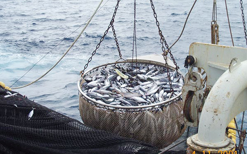 Le Togo décrète une suspension audacieuse de la pêche pour deux mois afin de revitaliser ses écosystèmes marins, un pari sur la durabilité et un modèle pour l'Afrique de l'Ouest.